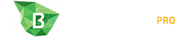 BeeHosting.PRO